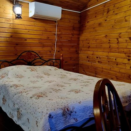 Castel Unghern Ivancea Dış mekan fotoğraf