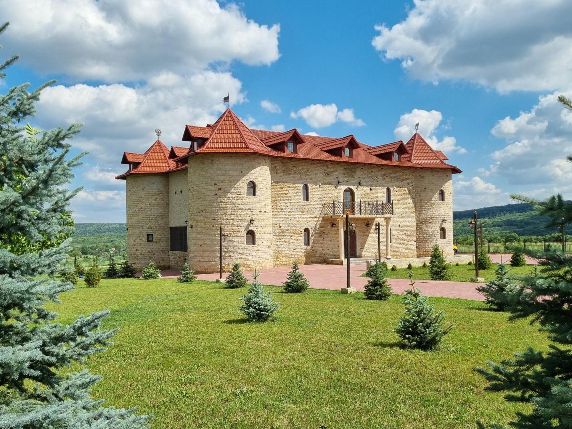 Castel Unghern Ivancea Dış mekan fotoğraf