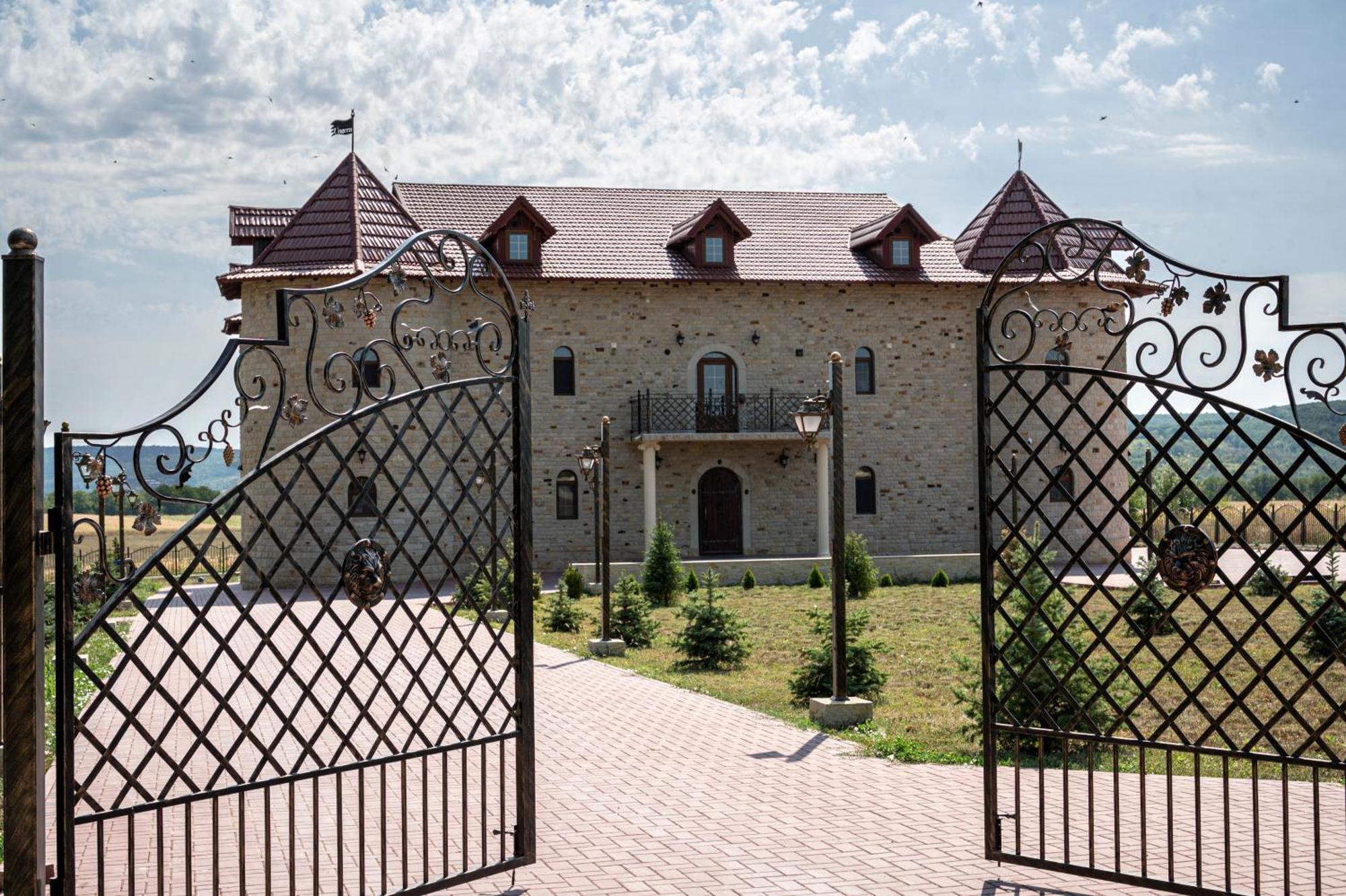 Castel Unghern Ivancea Dış mekan fotoğraf
